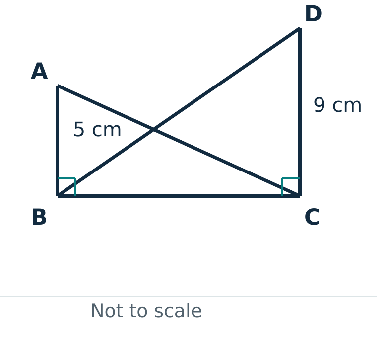 Original worksheet diagram: right triangles ABC and BCD share BC. AB is 5 cm, CD is 9 cm, and right angles are marked at B and C. Not to scale.
